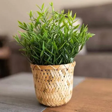 Coimbra Etxea - Precioso Piso Recien Estrenado Apartment Bermeo