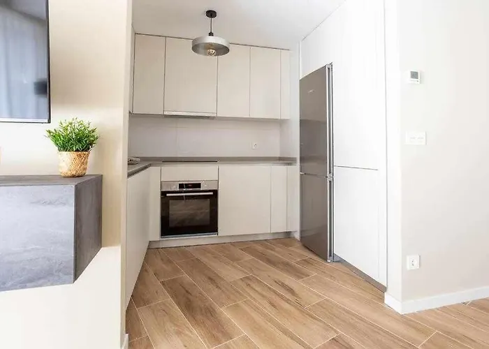 公寓 Coimbra Etxea - Precioso Piso Recien Estrenado 贝梅奥